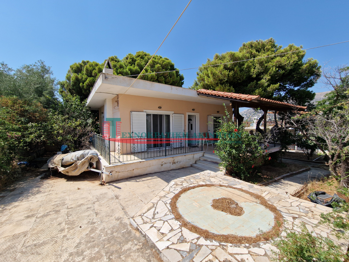 property-img